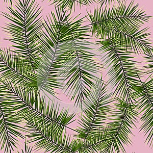 Summer exotic floral tropical palm. Pattern vector seamless on the pink background. Plant flower nature wallpaper.