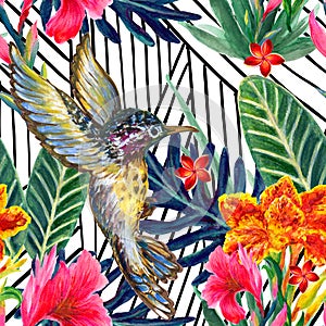 Summer exotic jungle tropical floral rainflorest plants and Hummingbird pattern watercolors photo