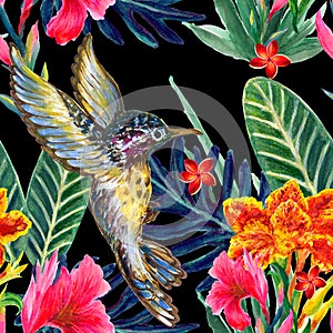 Summer exotic jungle tropical floral rainflorest plants and Hummingbird pattern watercolors photo