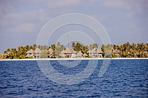 Summer exotic sandy beach island with palms and sea on background