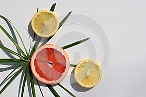Summer exotic tropical fruits background. Flat lay composition with slices of red grapefruit, lemon, and palm leaves on white