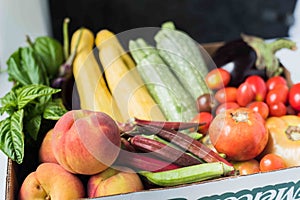 Summer Farm box close up