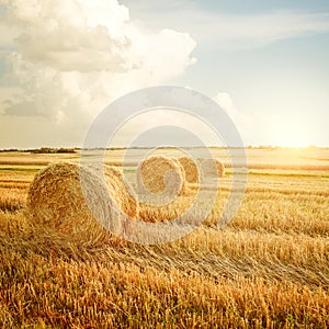 Summer Farm Scenery with Haystack