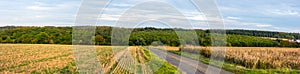 Summer farmland panorama