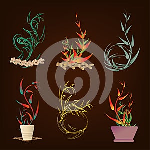 Summer festival Collection of botany flower plant decoration abstract background art graphic design vector illustration