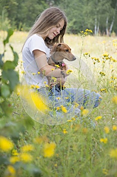 In summer  on a field on a bright sunny day  a girl walks with her dachshund dog