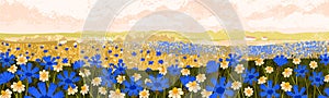 Summer field flowers, rural landscape background. Spring floral plants growing on meadow. Blossomed wildflowers