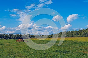 Summer field grass with hay in the middle. Meadow picturesque summer landscape with clouds on blue marvelous sky view background.