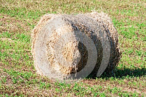 Summer Field with Hay Bale as background