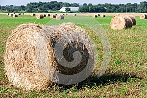 Summer Field with Hay Bale as background