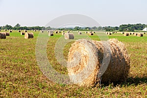 Summer Field with Hay Bale as background