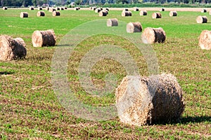 Summer Field with Hay Bales as background