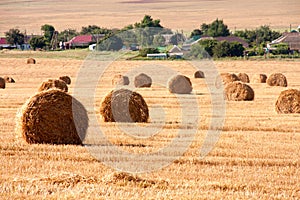 Summer Field with Hay Bales as background