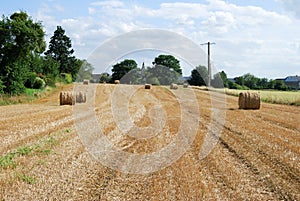 Summer field of hay and harvest with haystacks in a small village. Harvesting, haymaking and agriculture photography.