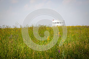 Summer field, Kaluga region, Russia