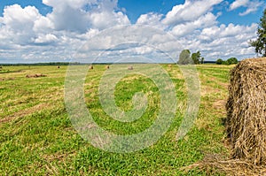 Summer field with mowed grass and haystack,