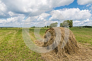 Summer field with mowed grass and haystack,
