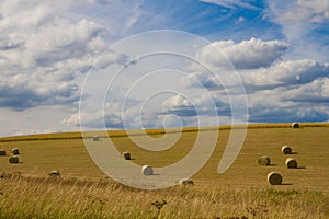 Summer fields , Cambridgeshire