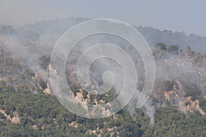 Summer fire, South Italy.