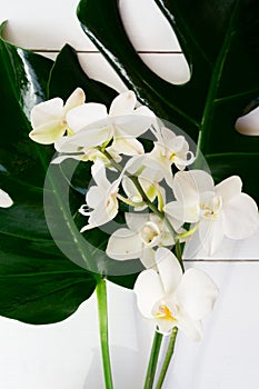 Summer flat lay scenery on white boards