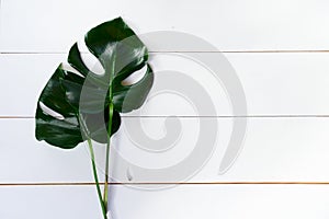 Summer flat lay scenery on white boards