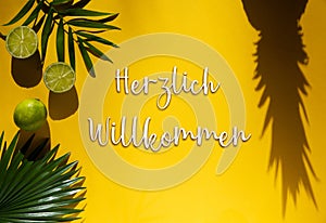 Summer Flat Lay, Tropical Fruits, Herzlich Willkommen Means Welcome