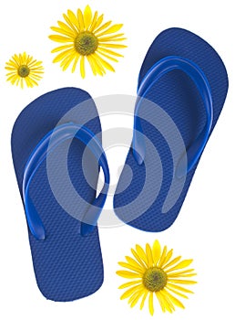 Summer Flip Flop Sandals