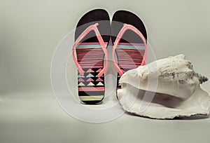 summer flip flops and sea shell composition in a green background