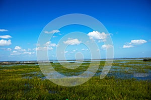 Summer flood 2013 on the hulunbeier grant grassland