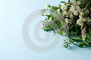 Summer floral background. Wildflowers - grass, wormwood, melisa in a bouquet on a blue background. Concept mom`s holiday, hello photo