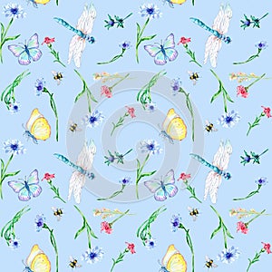 Summer floral field with dragonfly and butterfly watercolor seamless pattern on blue.