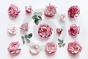 Summer floral pattern made of beautiful rose buds on white background. Nature concept. Minimal style. Top view. Flat lay