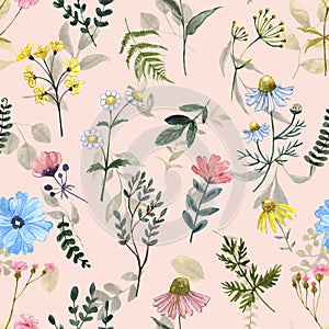 Summer floral seamless pattern with wild flowers on pastel pinke background. Watercolor painting