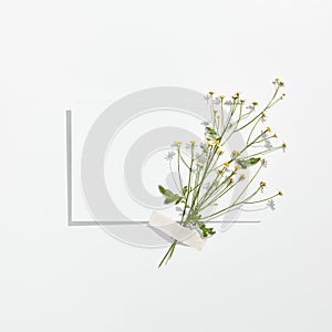 Summer floral still life. Wild flower and white blank card. White table in sunlight with hard shadow flat lay. Rustic, vintage,