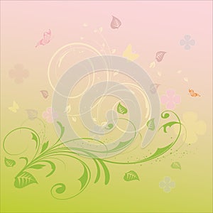 Summer flower background