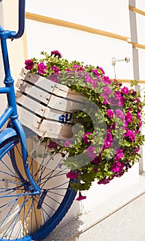 Summer flower box and bicycle