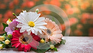 Summer flower bright autumn flora nature pink spring water blossom closeup plant