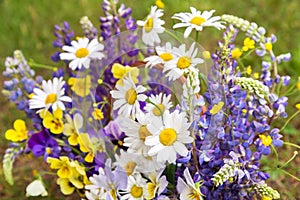 Summer flowers background close up. Beautiful white yellow blue violet purple bouquet by florist with pansy, chamomile, lupin