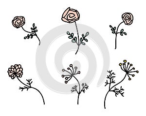 Summer flowers collectoin in simple doodle style. Perfect for tee, stickers, poster, card. Isolated vector illustration for decor photo