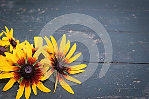 Summer flowers on dark wooden table background. Backdrop with copy space