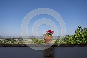Summer flowers in flowerpots in garden in tuscany, italy
