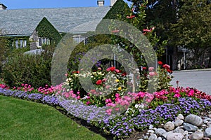 Summer flowers in front of an ivy covered building