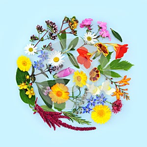 Summer Flowers and Herbs for Herbal Medicine Treatments