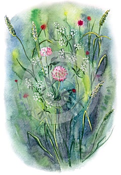 Summer flowers and herbs, watercolor painting in an expressive manner