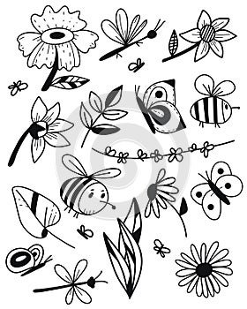 Summer flowers, leaves, bees, butterflies and dragonflies vector set black elements.
