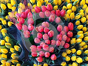 Summer Flowers Market Red Yellow Tulip bouquet background