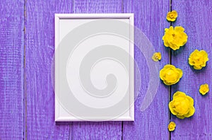 Summer flowers on an old purpur wooden background. Bright summer floral background with space for text. Colorful flower card