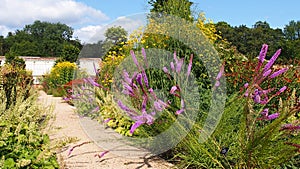 Summer flowers at the RHS Bridgewater Gardens in Salford, Northern England