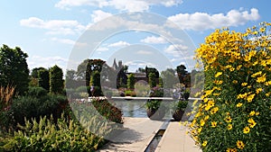 Summer flowers at the RHS Bridgewater Gardens in Salford, Northern England