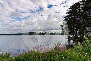 Summer flowers and trees on a picturesque lake with the small town of Stromsund in the background